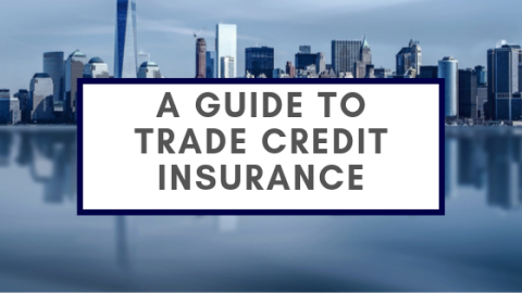 A Guide To Trade Credit Insurance - Securitas Global Risk Solutions Llc