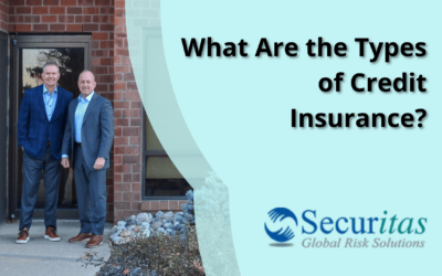 What Are the Types of Credit Insurance?